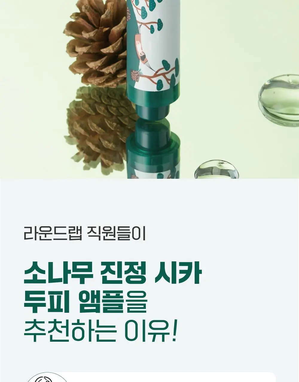 [두피영양] 라운드랩 소나무 진정 시카 두피 앰플 15ml 상세페이지 2